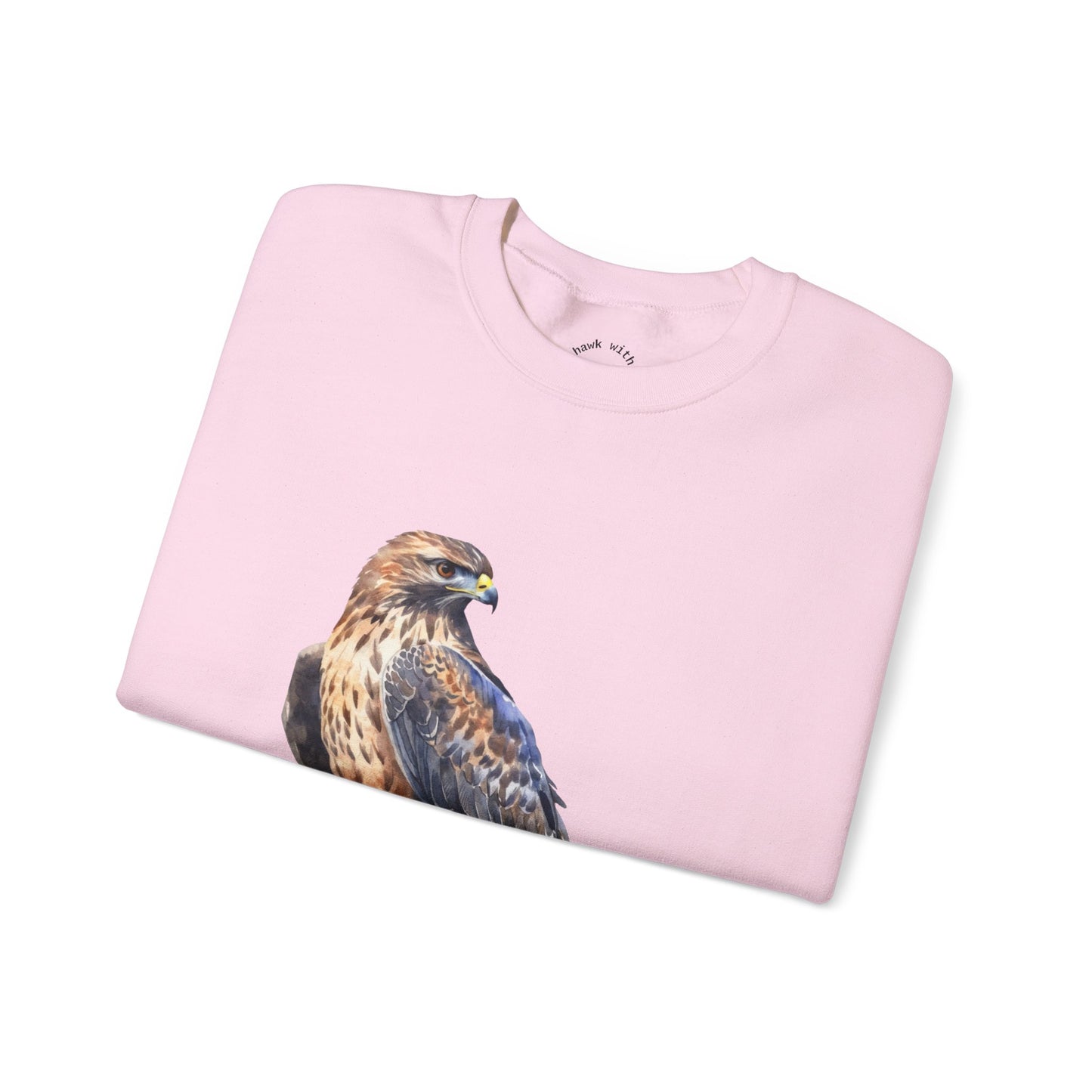 Hawk with Chalk RHYMES THYME Sweatshirt