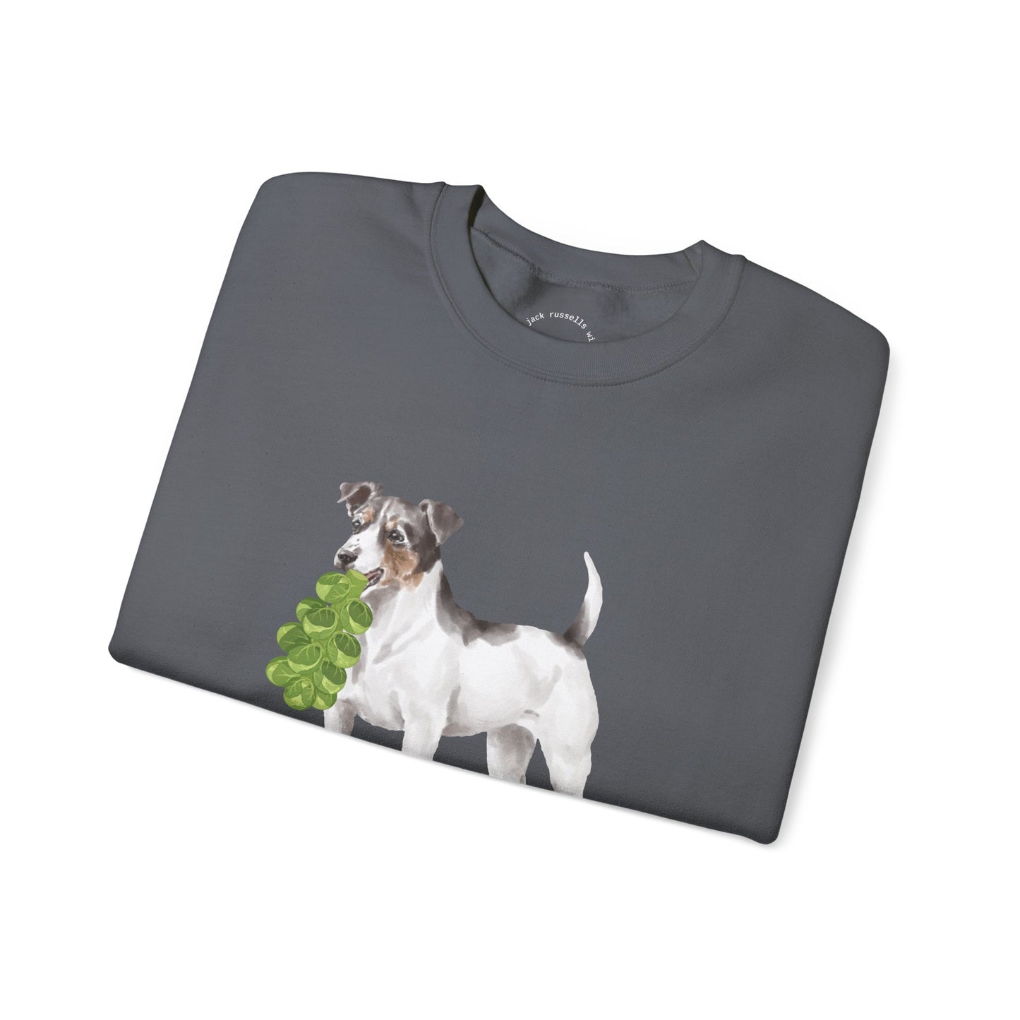 Jack Russell with Brussels RHYMES THYME Sweatshirt