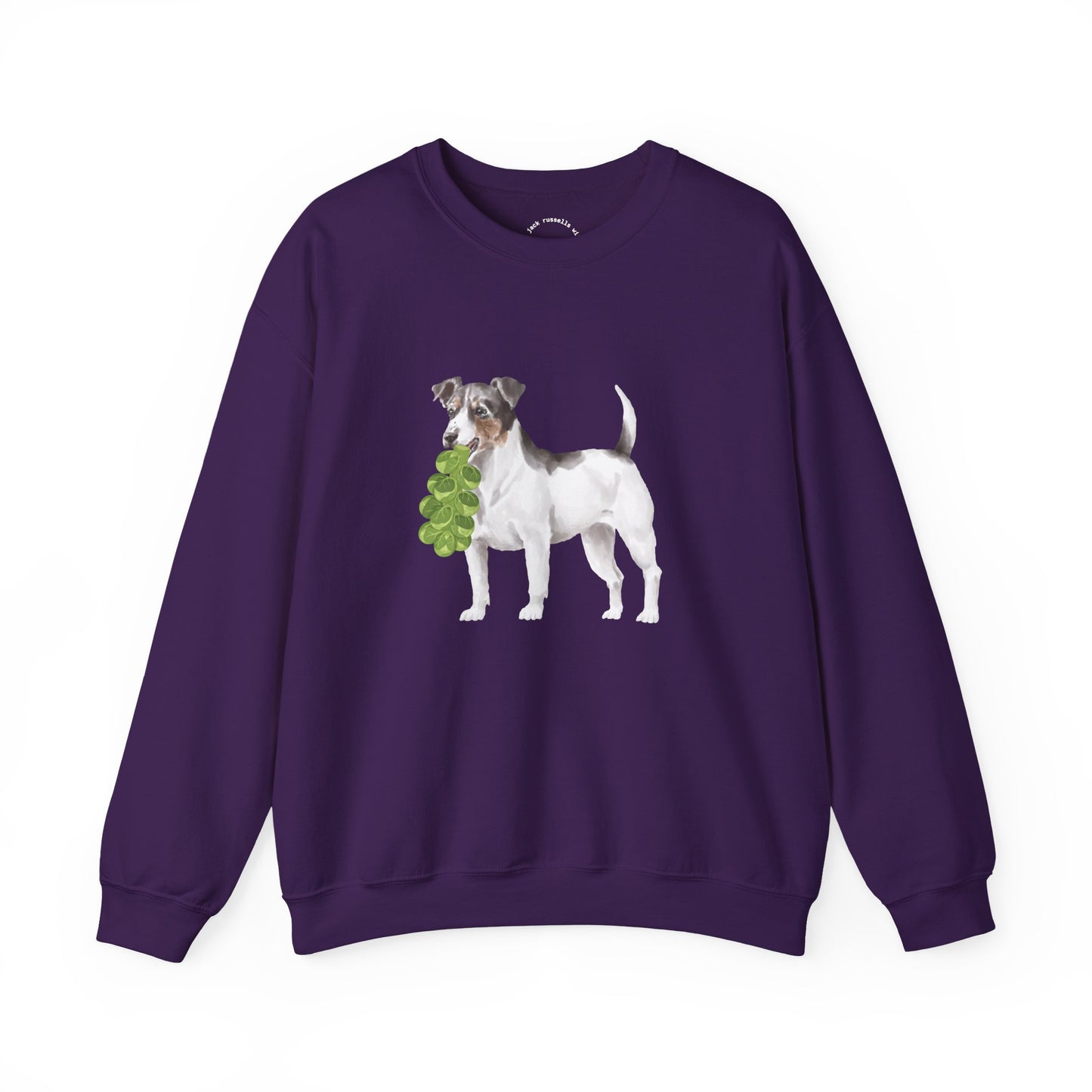 Jack Russell with Brussels RHYMES THYME Sweatshirt